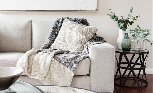 Couch with throw and cushion, coffee table plants