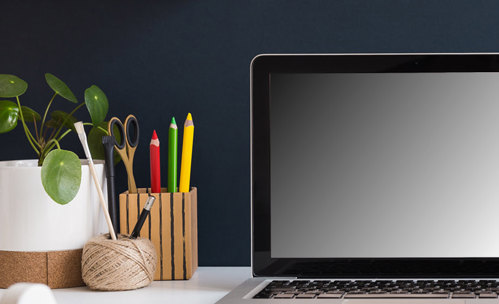 Desk with laptop, pens and plant