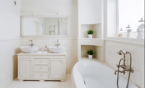 Bathroom interior - Bath, 2 hand basins, mirror, house plants, cupboard