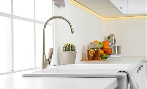 Kitchen interior - Kitchen sink, fruit bowl, house plant
