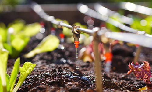 Water irrigation system for garden